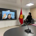 «VIRTUAL  PILOT PROJECT «